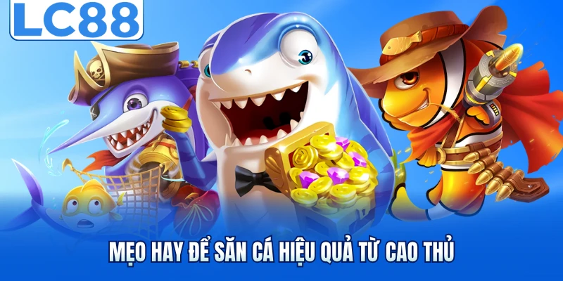 Mẹo hay để săn cá hiệu quả từ cao thủ